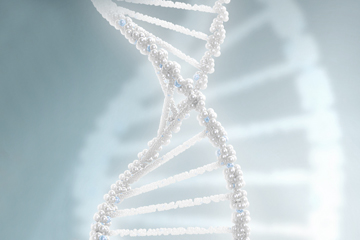 White DNA double-helix.